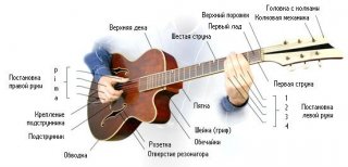 Строение полуакустической гитары
